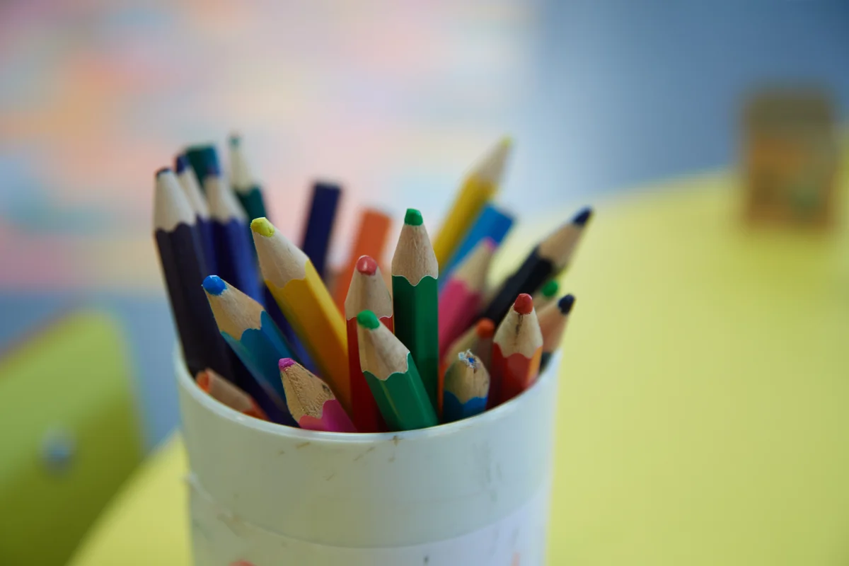 Non-teaching roles