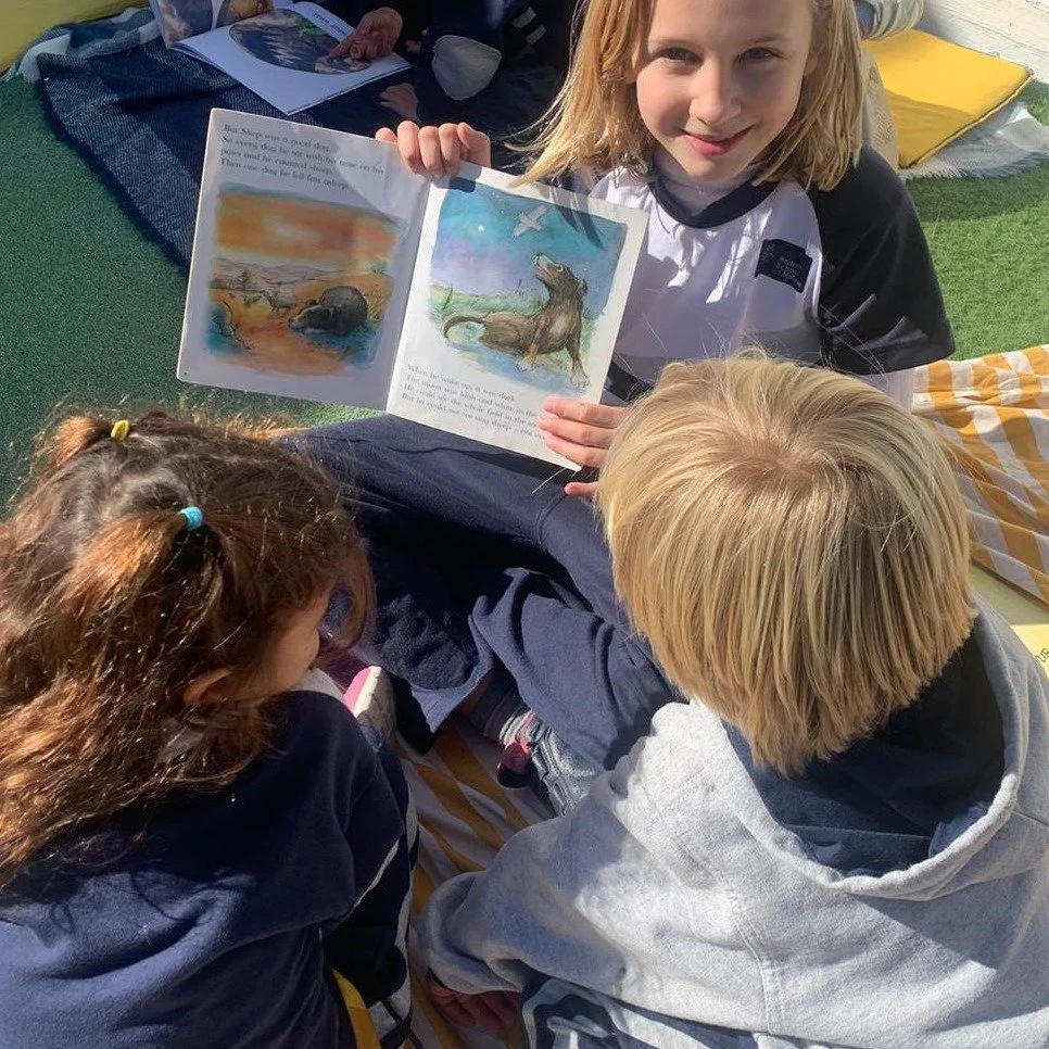 Picnic de lectura