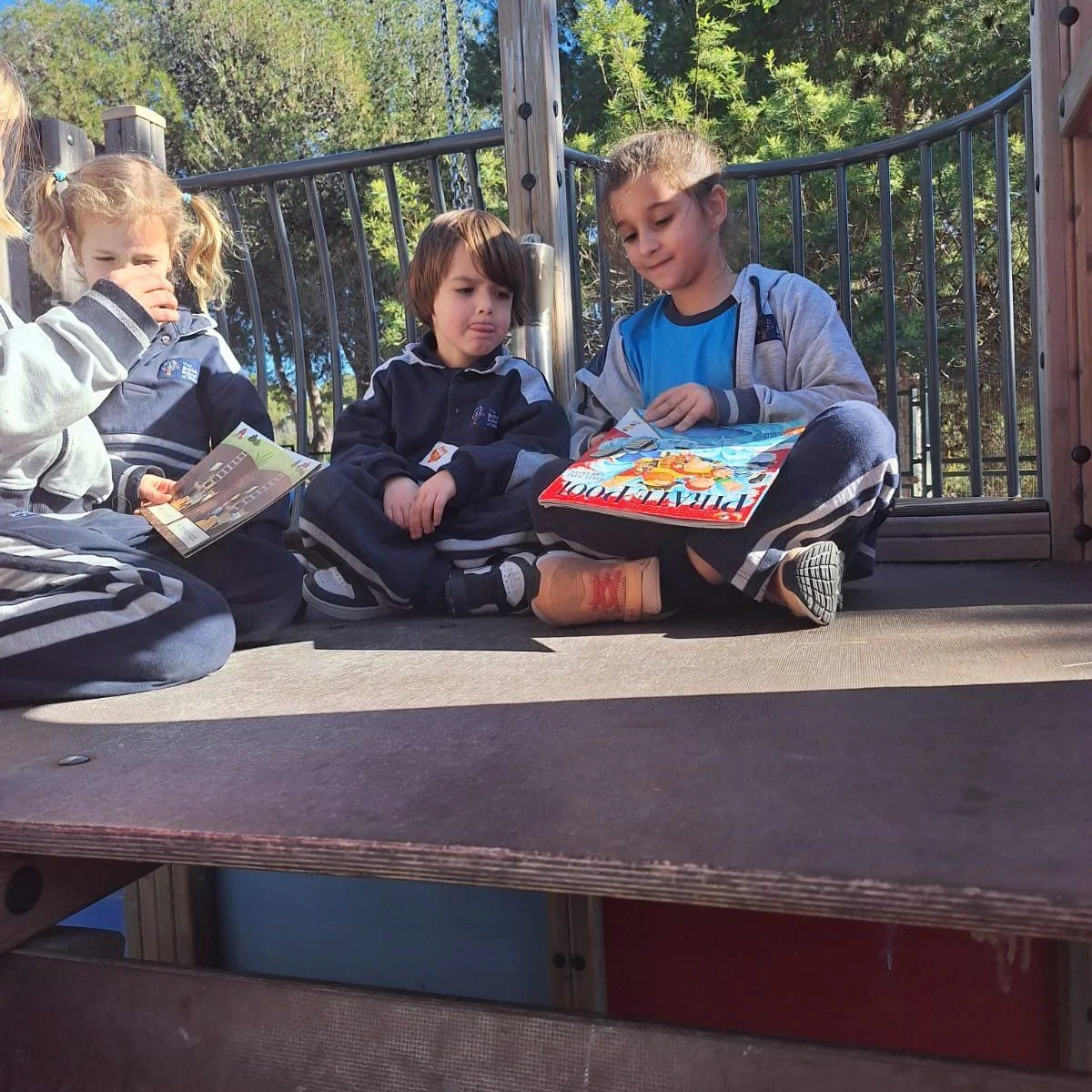 Picnic de lectura