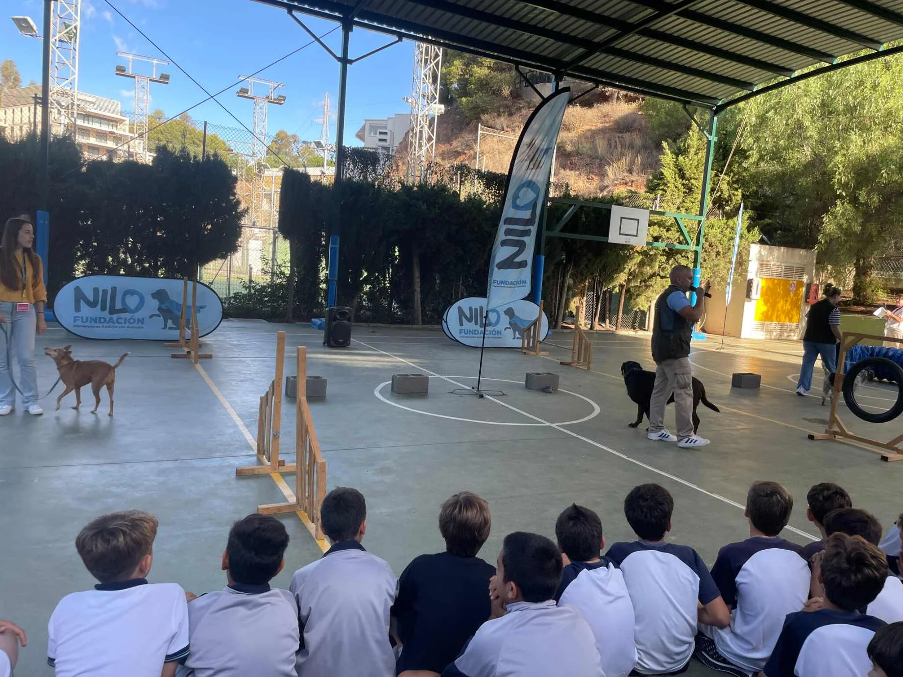 Perros